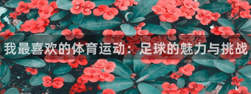 oety欧亿体育官网下载招商电话号码是多少：我最喜欢