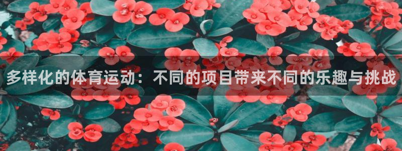 oety欧亿体育官网下载平台注册流程图：多样化的体育