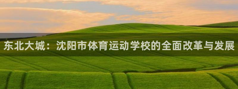 oety欧亿体育官网下载平台注册：东北大城：沈阳市体