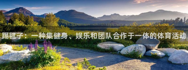 欧亿体育官方正版app娱乐：踢毽子：一种集健身、娱乐