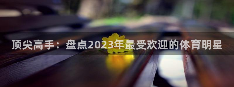 欧亿体育官方正版app新能源：顶尖高手：盘点2023