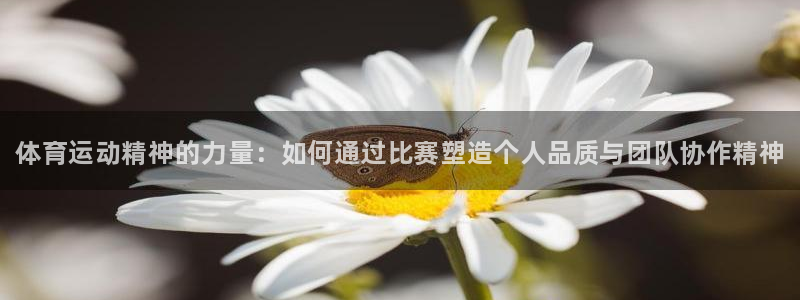 oety欧亿体育官网下载平台注册流程视频：体育运动精