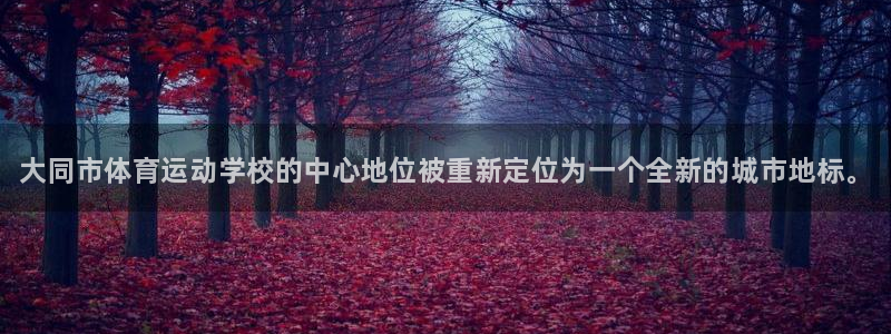 oety欧亿体育官网下载平台注册要钱吗安全吗：大同市