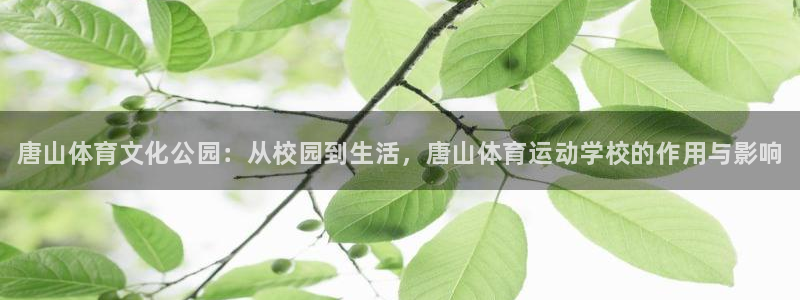 欧亿体育官方正版app科技：唐山体育文化公园：从校园