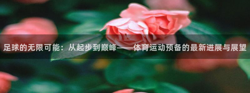 oety欧亿体育官网下载平台注册要钱吗安全吗：足球的无限可能