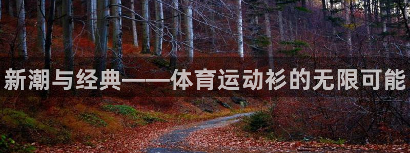 oety欧亿体育官网下载平台注册要钱吗安全吗：新潮与经典——